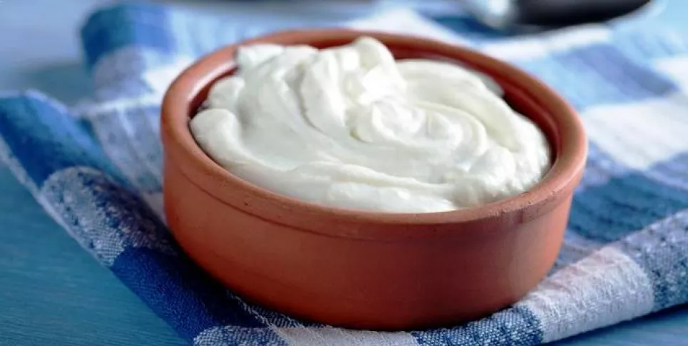 Ilustracija: skuta s medom i orasima